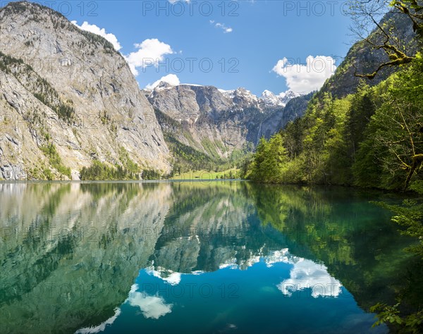 Obersee