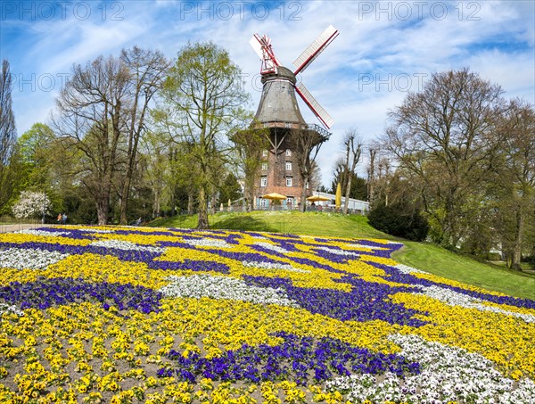 Windmill with colorful flowerbeds