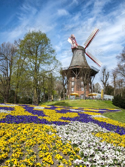 Windmill with colorful flowerbeds