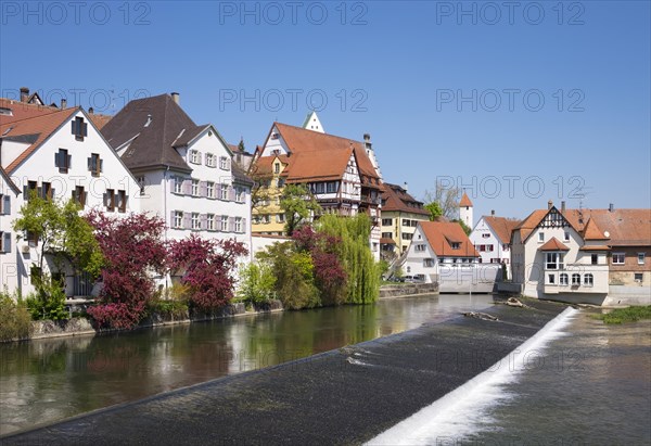 River Danube in Riedlingen