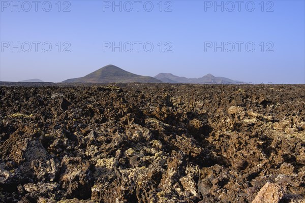 Lava field