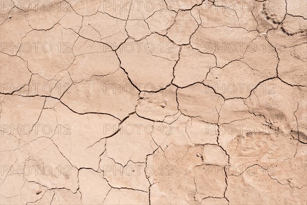 Dry ground