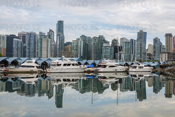 Skyscrapers and sailboats in the marina