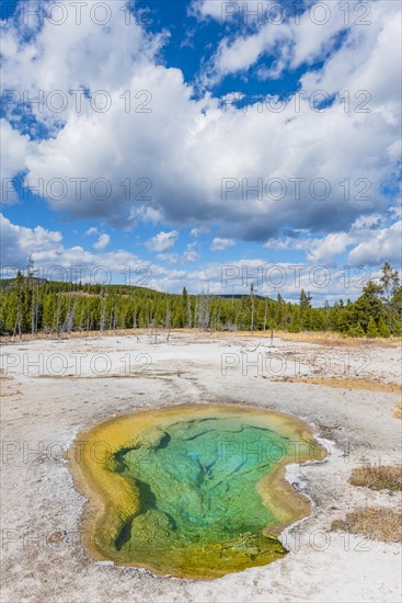 Turquoise West Geyser