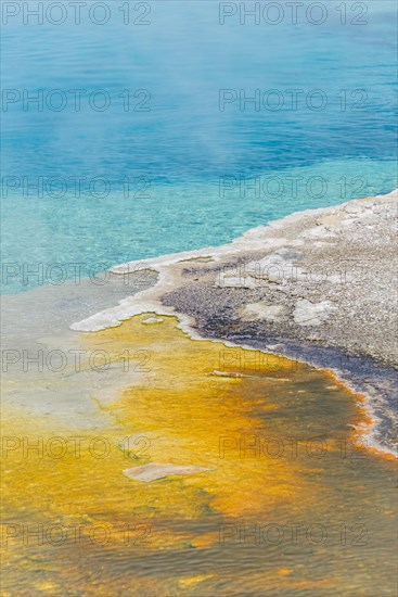 Yellow bacteria and algae on the edge of a hot spring