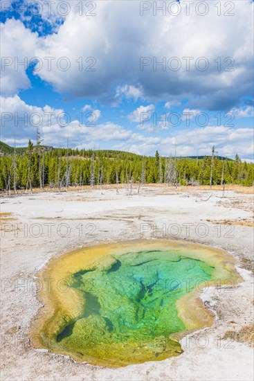 Turquoise West Geyser