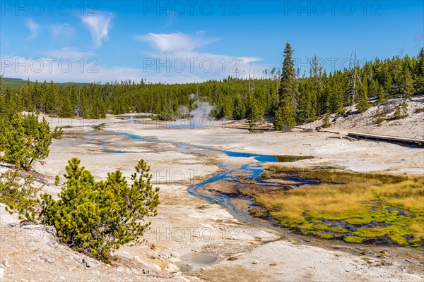 River in the Norris Back Basin