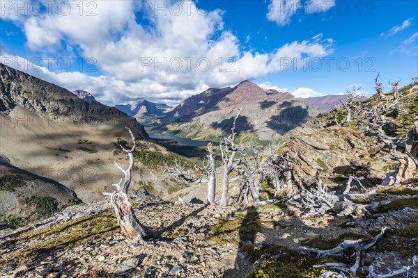 View from Continental Divide Trail onto Mountain Lake Two Medicine Lake with mountain landscape