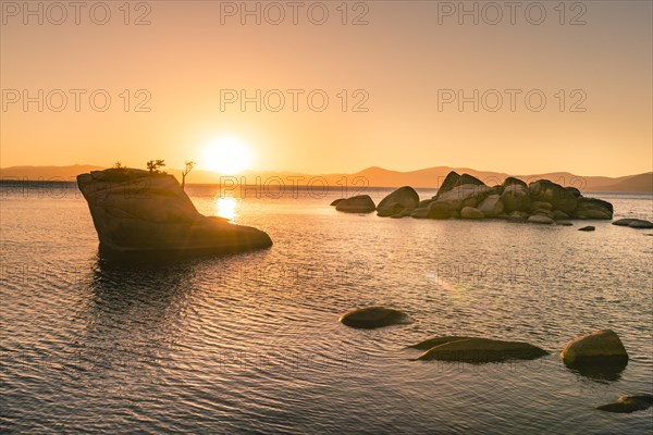 Bonsai Rock