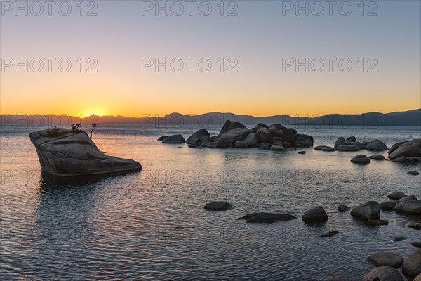 Bonsai Rock