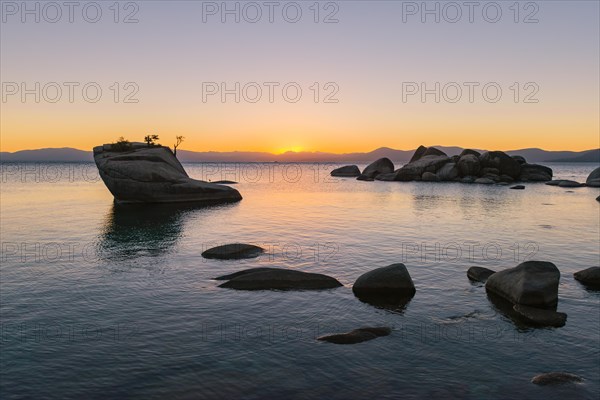 Bonsai Rock