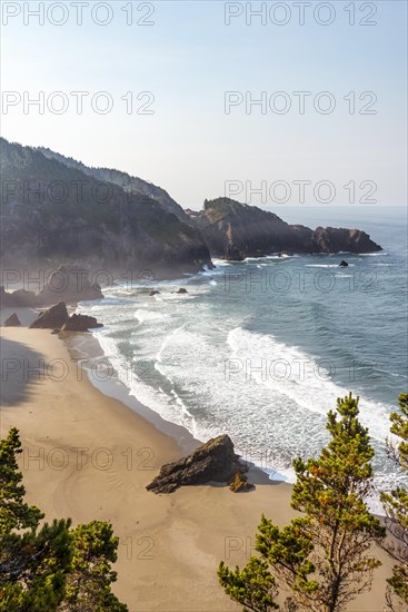 Sandy beach beach by the sea