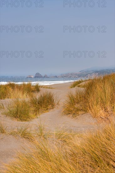 View over over overgrown sand dunes on rocky coast