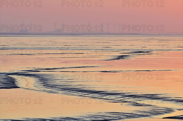 Tideways in the Dollart bay at sunset