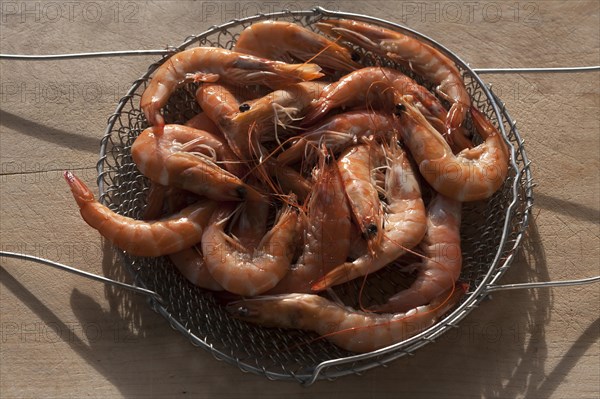 Cooked shrimp in colander