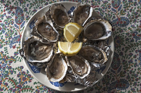 Fresh oysters with lemon