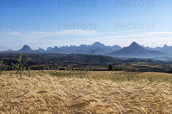 View over grain field to Gheralta Mountains