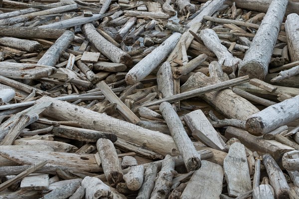 Driftwood