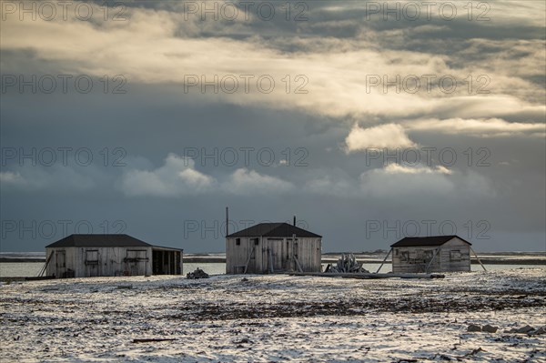 Wooden houses
