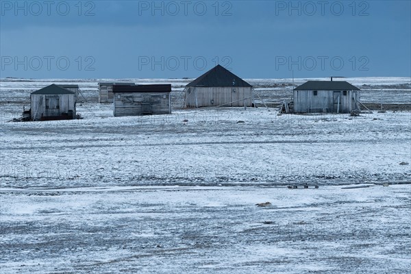 Wooden houses