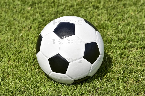 Black White soccer