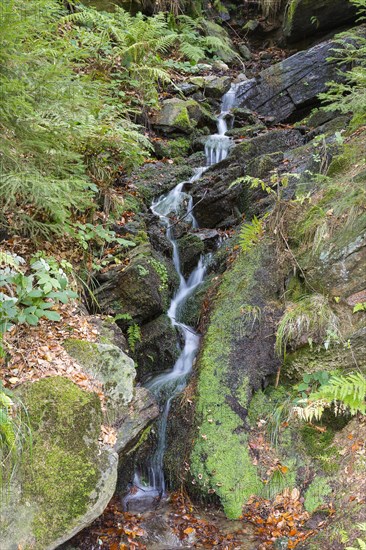 Small waterfall