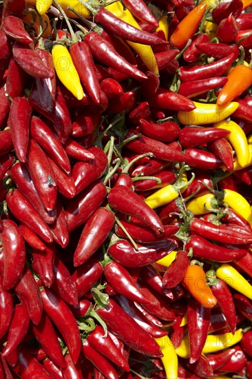 Strings of chillis being dried