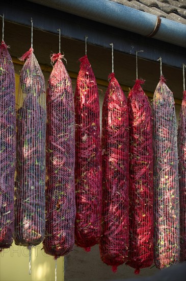 Hungarian paprika (Capsicum annuum) being dried