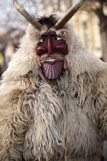 Traditional Buso goat or sheep costume