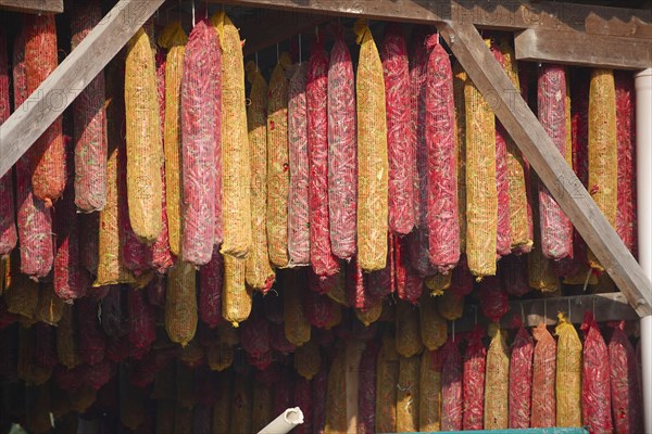 Hungarian paprika (Capsicum annuum) being dried