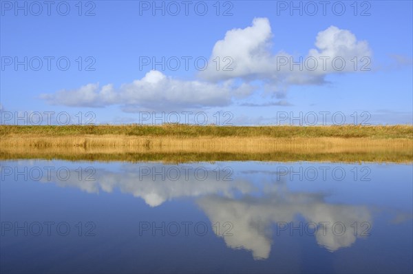 Cumulus clouds reflected in water