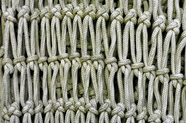 Fishing net