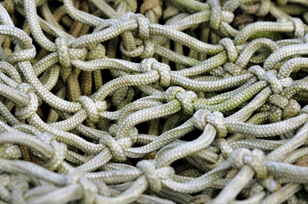 Fishing net