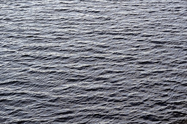 Water surface