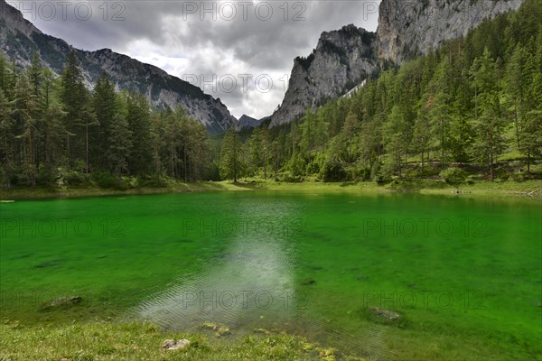 Gruner See