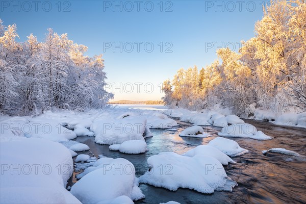 Snow-covered trees on a river