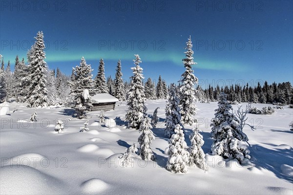 Northern Lights (Aurora Borealis) with starry sky over snow-covered hut in winter landscape