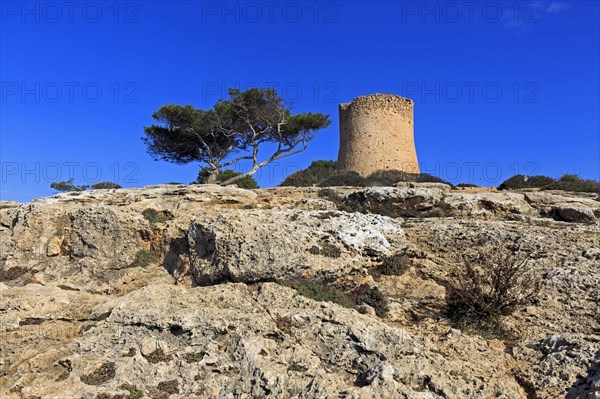 Tower of Cala Pi