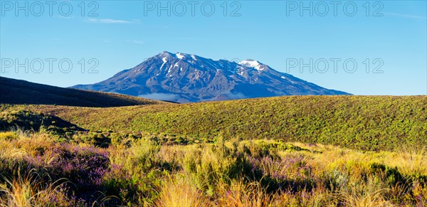Snow-capped volcanic Mount Ruapehu in Tongariro National Park