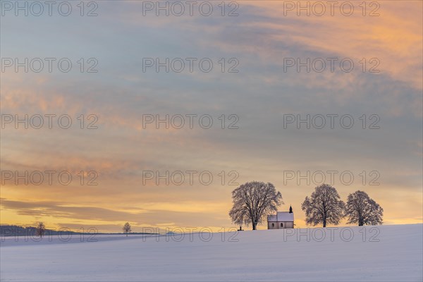Chapel 14 emergency helpers with old trees in snow-covered landscape at sunrise