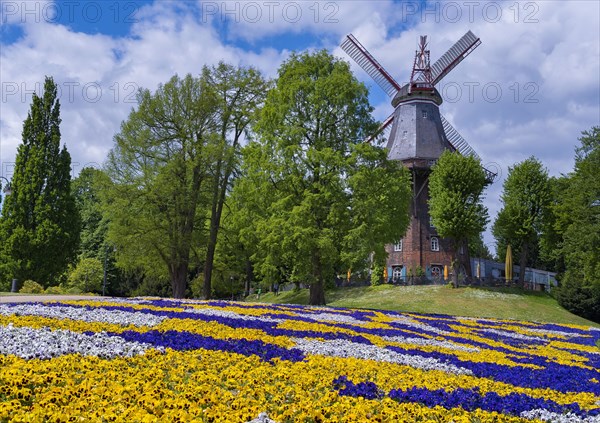 Am Wall Windmill and ramparts