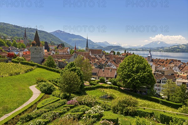 Town view with Zytturm