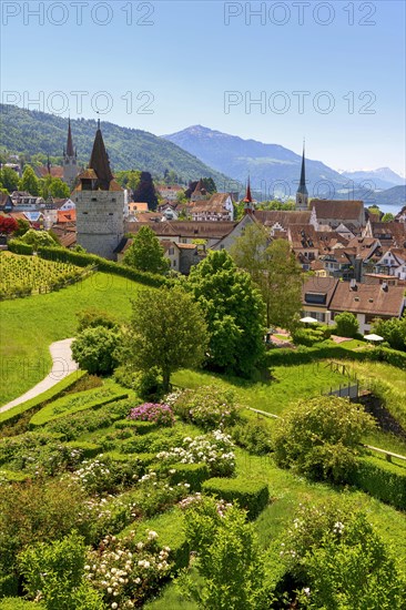 Town view with Capuchin tower and church