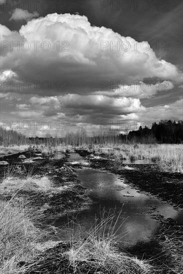 Waterlogged peat extraction site
