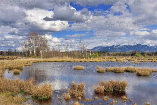 Moorland with cloudy skies