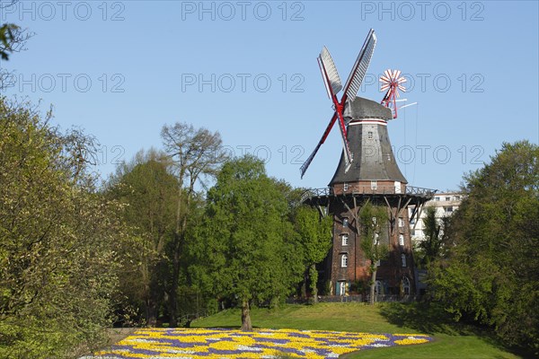 Windmill Herdentorswallmuhle in ramparts in spring