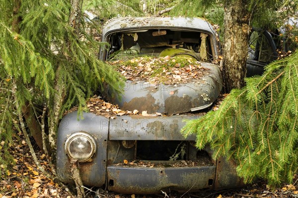 Oldtimer