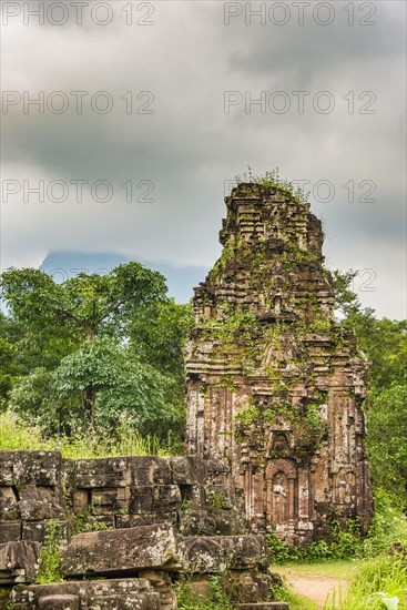 Má»¹ SÆ¡n