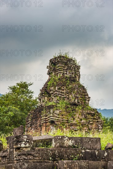 Má»¹ SÆ¡n