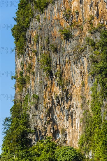 Karst landscape